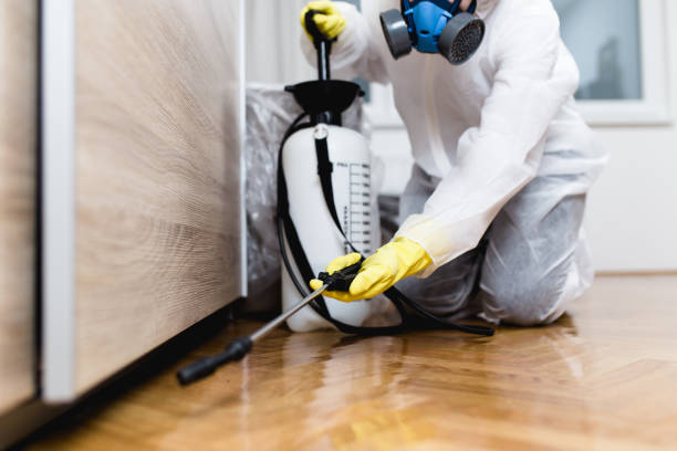 Best Best Pest Control Companies  in Sergeant Bluff, IA