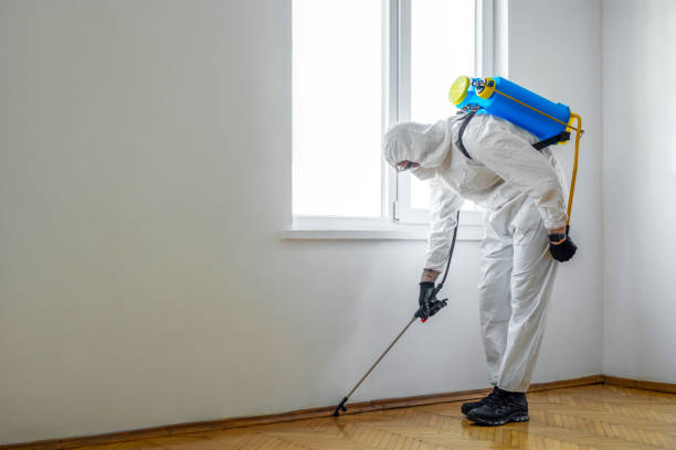 Best Affordable Pest Control Services  in Sergeant Bluff, IA