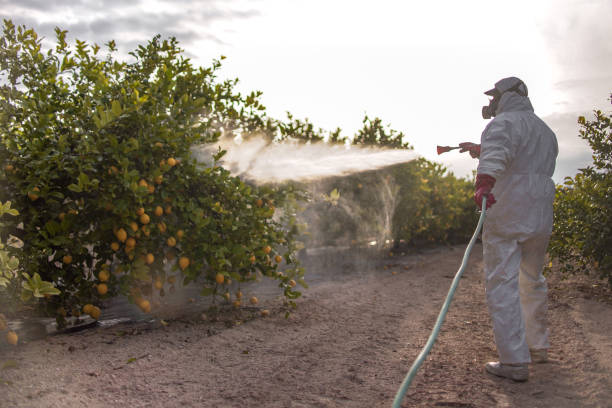 Best Exterminator Services  in Sergeant Bluff, IA