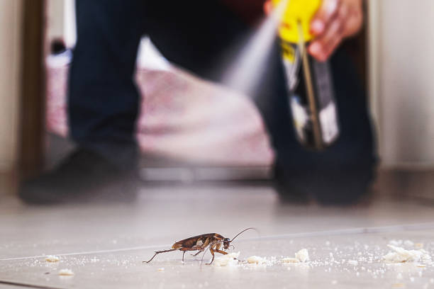 Best Emergency Pest Control  in Sergeant Bluff, IA