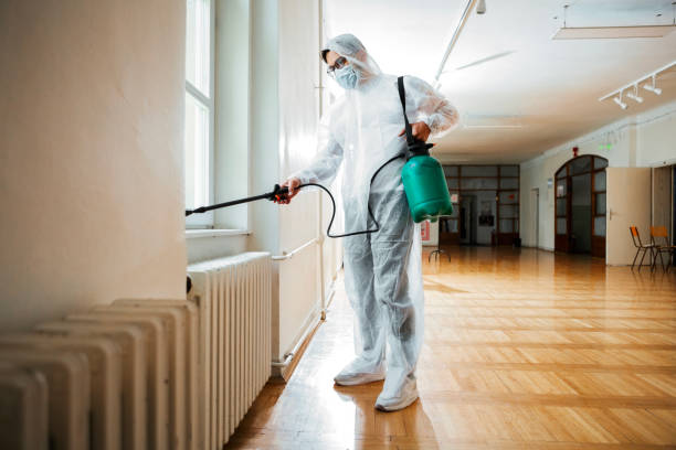 Best Flea Control Services  in Sergeant Bluff, IA