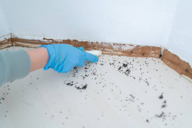 Best Residential Pest Control  in Sergeant Bluff, IA